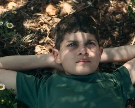 Israeli Minister of Culture Vows to Withdraw National Film Awards After Palestinian Story Film Takes Top Prize