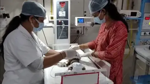 Baby Interred Alive in the Country Battles for Her Life