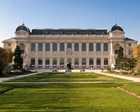Priceless Golden Pieces Stolen in Bold Heist at France's Natural History Institution